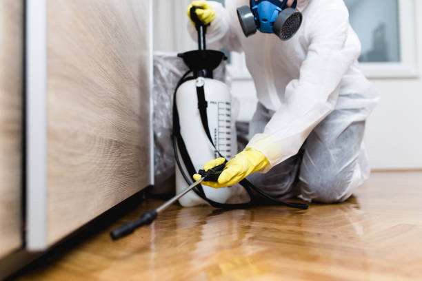 Best Wasp Removal Services  in Brownsville, LA