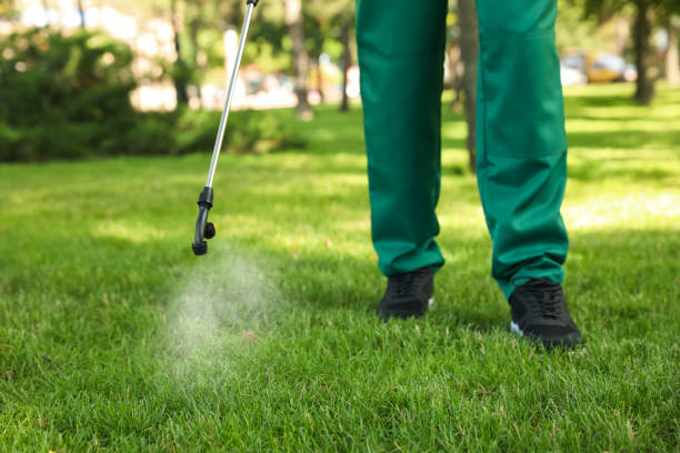 Wasp Removal Services in Brownsville, LA
