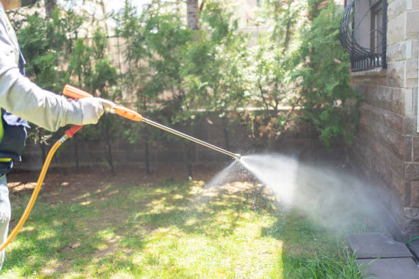 Best Bird Control  in Brownsville, LA