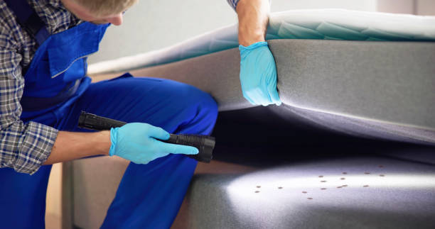 Best Pest Removal Services  in Brownsville, LA